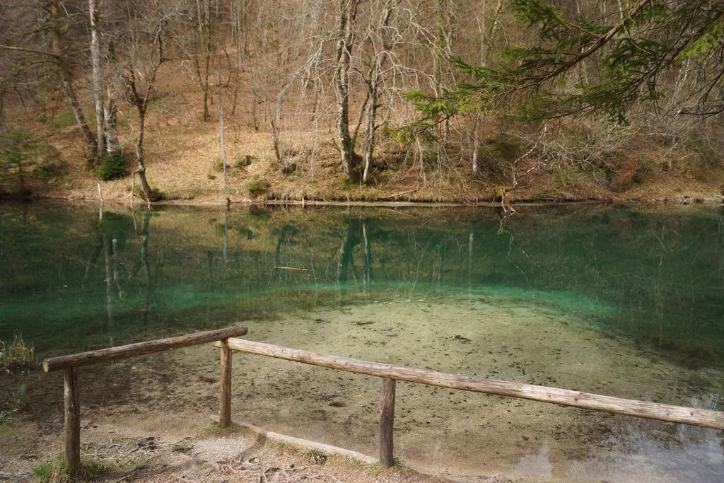 Pension Schwarzenbach Bad Reichenhall Esterno foto